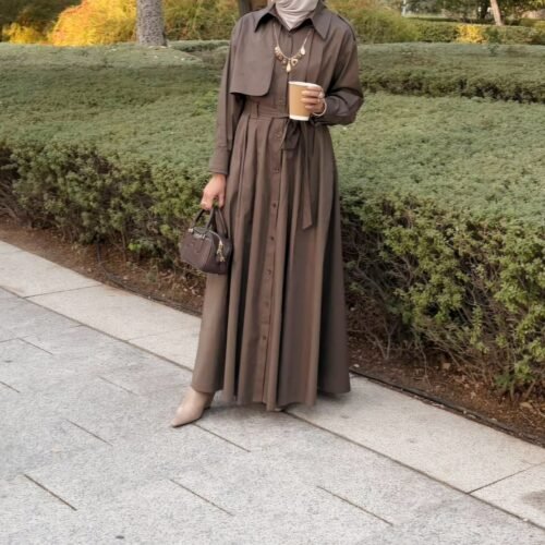 inbound5062233635112271135 Trench dress 3